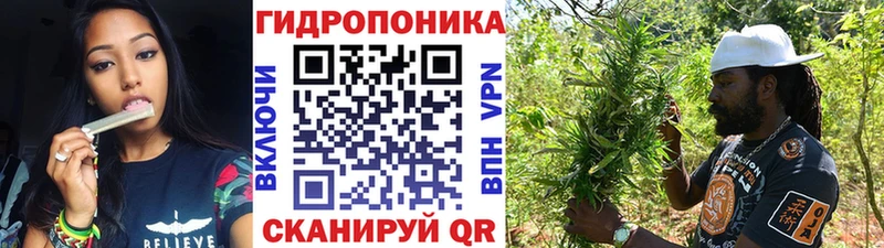 Каннабис план  цена   Жигулёвск 